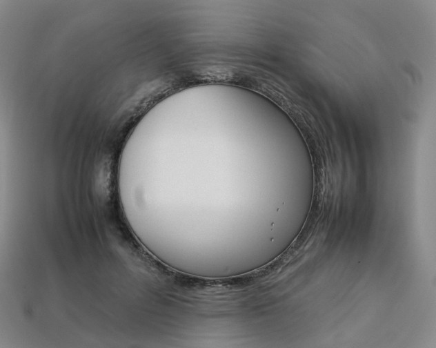 X0000113750600200909231007
