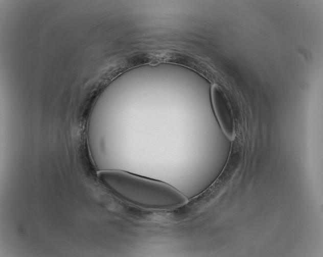 X0000113750601200909231007