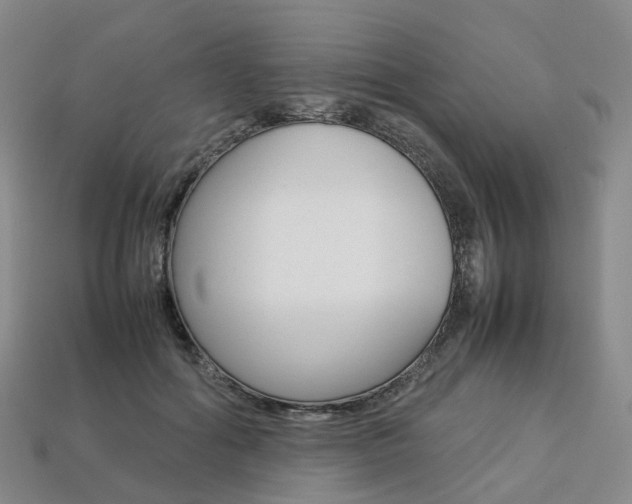 X0000113750602200909231007