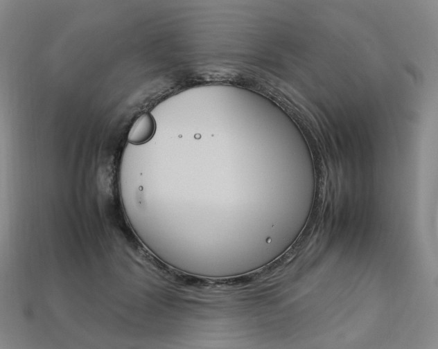 X0000113750604200909231007