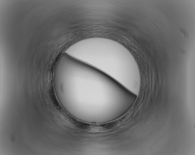 X0000113750605200909231007