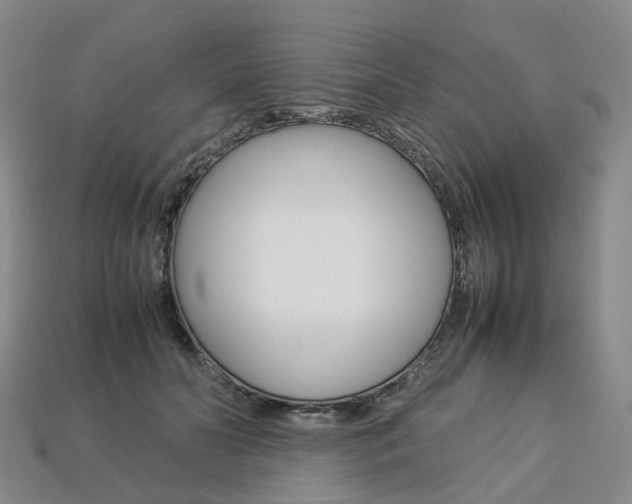 X0000113750606200909231007