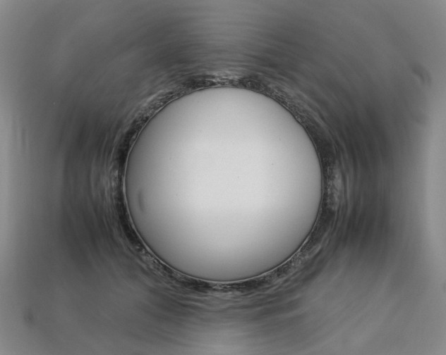 X0000113750608200909231007