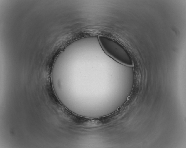 X0000113750609200909231007