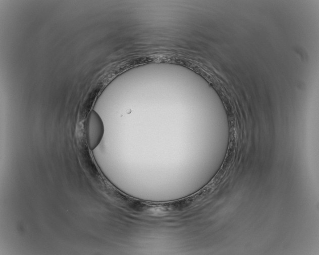 X0000113750611200909231007
