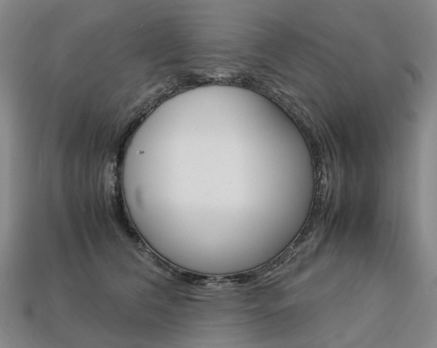 X0000113750612200909231007