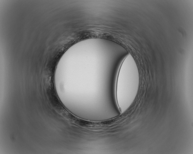 X0000113750615200909231007