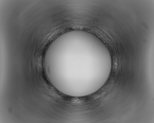 X0000113750616200909231007