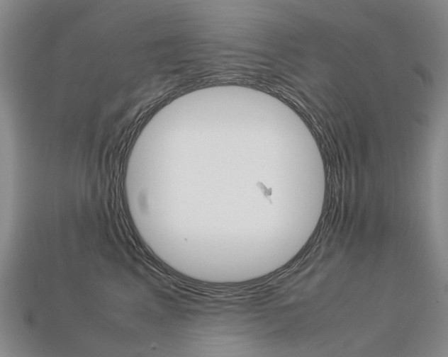 X0000113750617200909231007