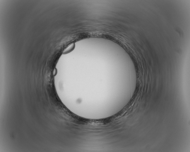 X0000113750619200909231007