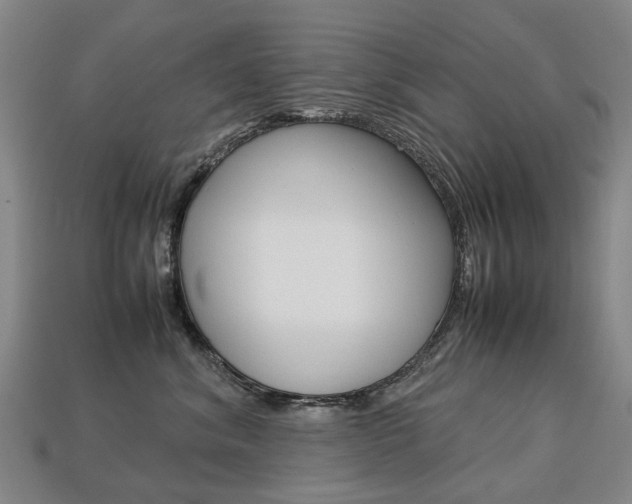 X0000113750620200909231007