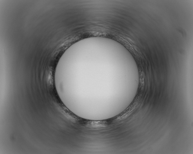 X0000113750622200909231007