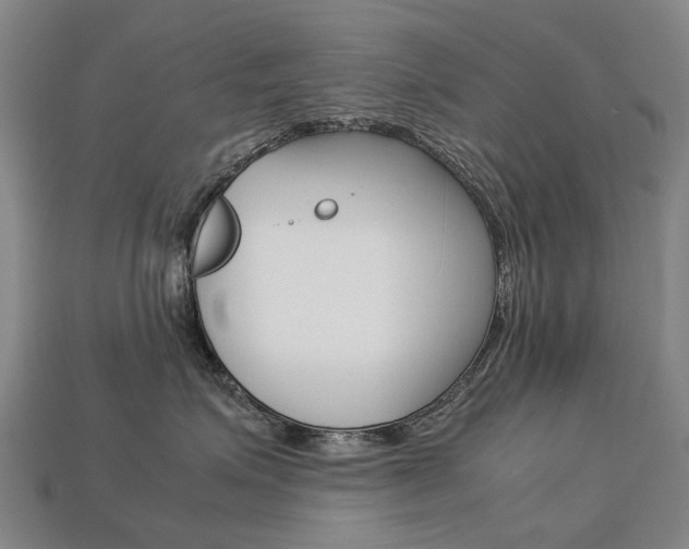 X0000113750623200909231007