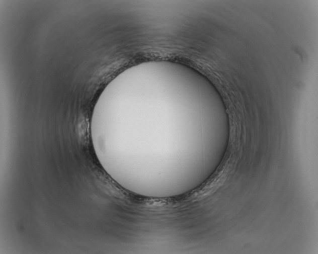X0000113750624200909231007