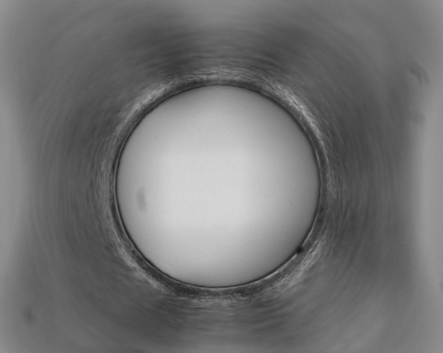 X0000113750625200909231006
