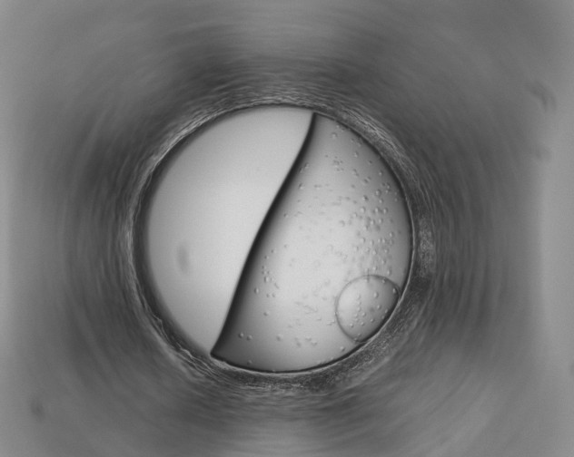X0000113750626200909231006