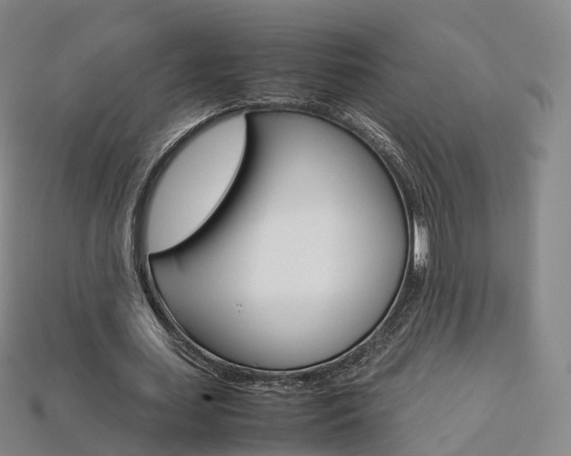 X0000113750627200909231006