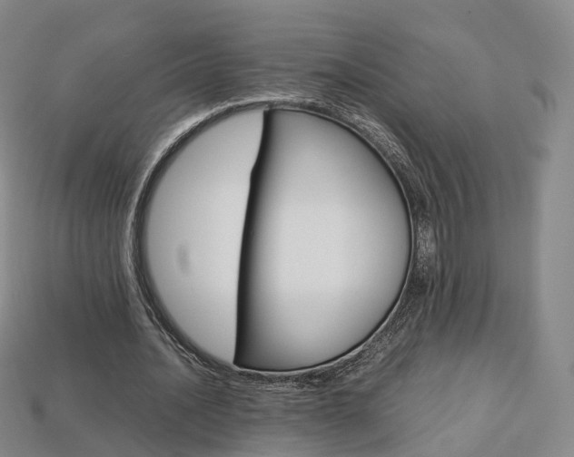 X0000113750628200909231006