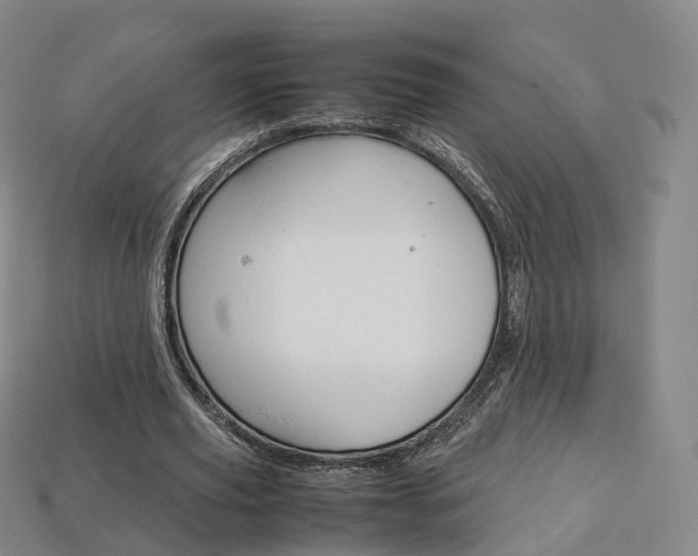 X0000113750629200909231006