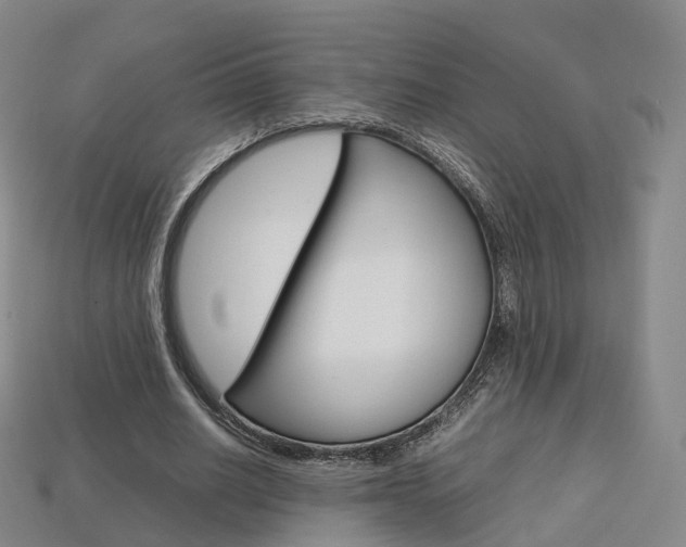 X0000113750630200909231006
