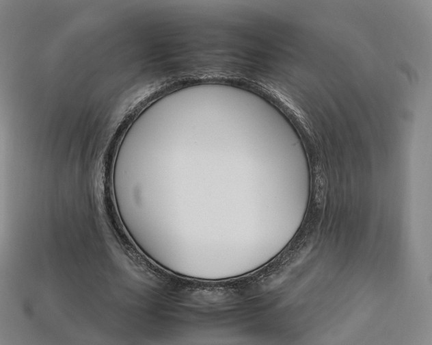 X0000113750631200909231006