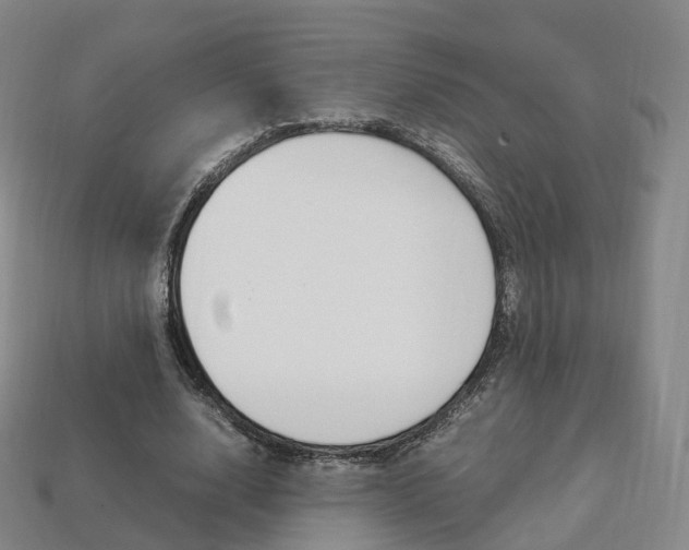 X0000113750632200909231006