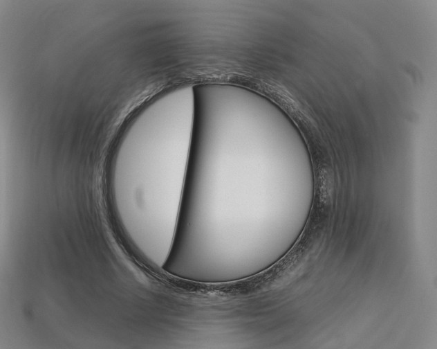 X0000113750634200909231006