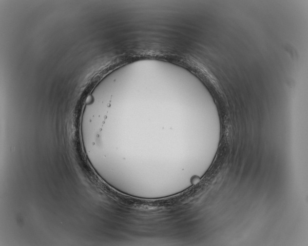 X0000113750635200909231006