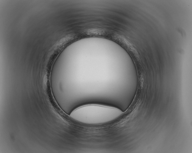 X0000113750637200909231006