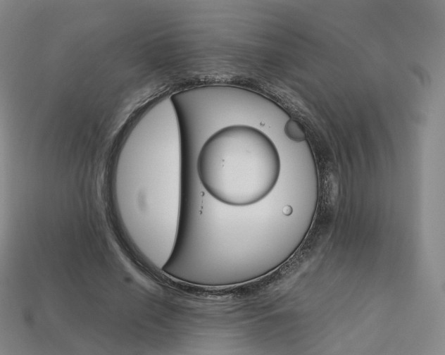 X0000113750638200909231006