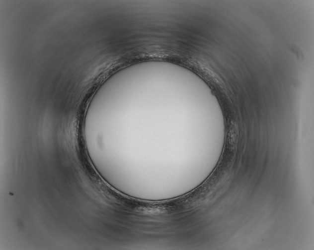 X0000113750639200909231006