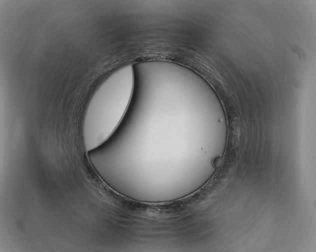 X0000113750641200909231006