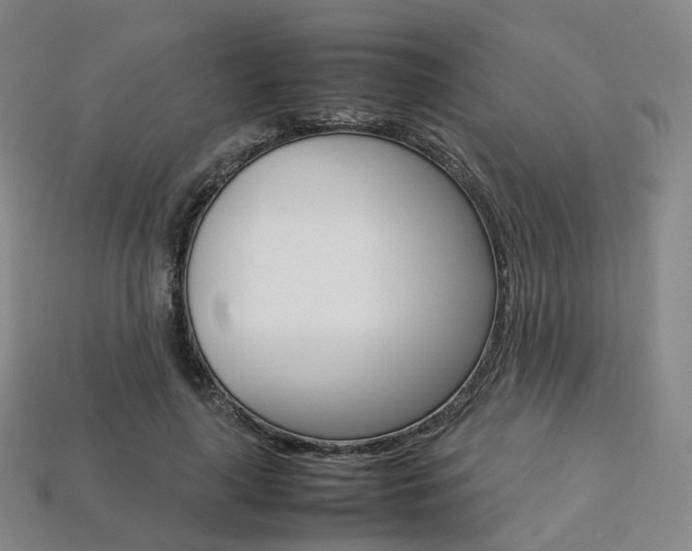 X0000113750643200909231006