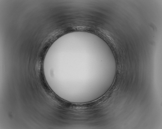 X0000113750645200909231006
