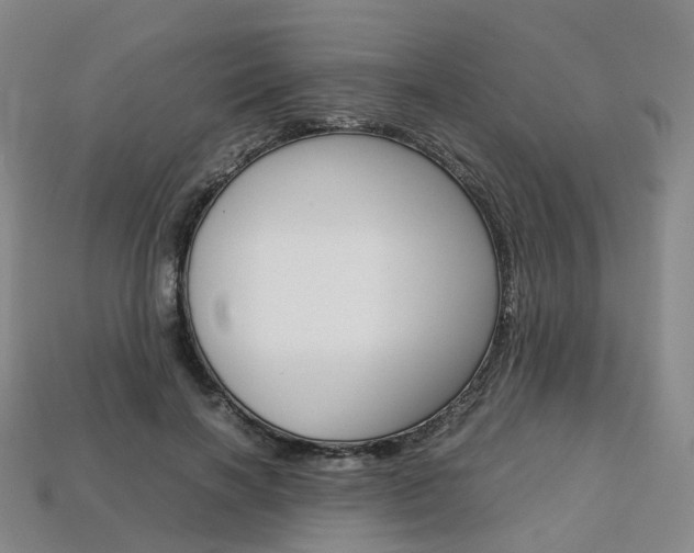 X0000113750646200909231006