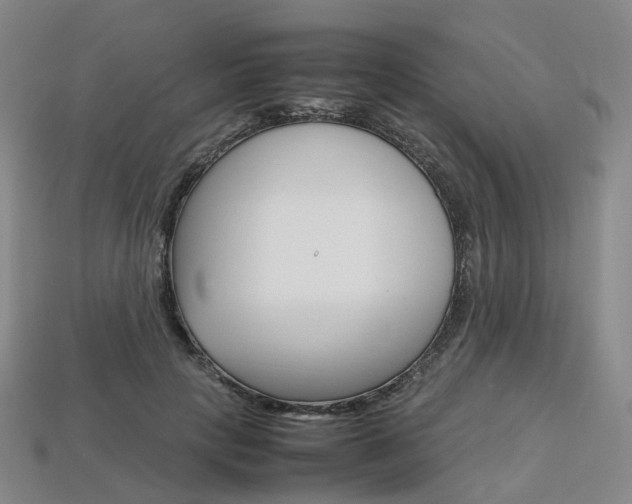 X0000113750649200909231007