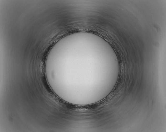 X0000113750650200909231007