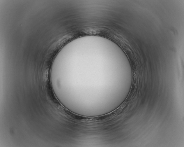 X0000113750652200909231007