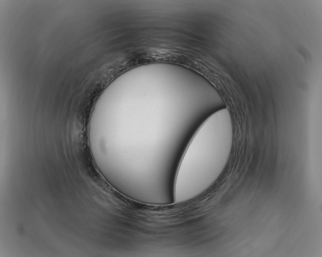 X0000113750653200909231007
