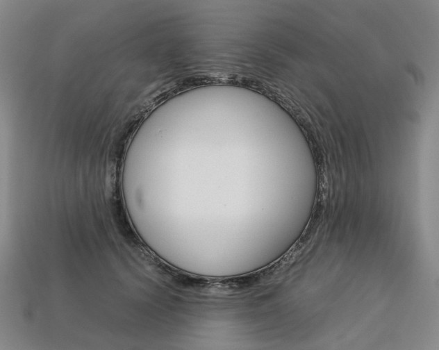 X0000113750656200909231007