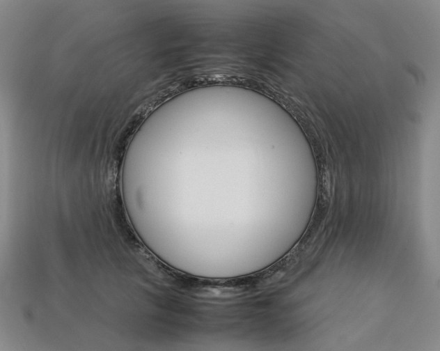 X0000113750657200909231007