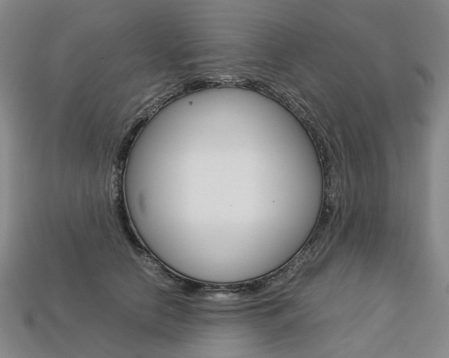X0000113750658200909231007