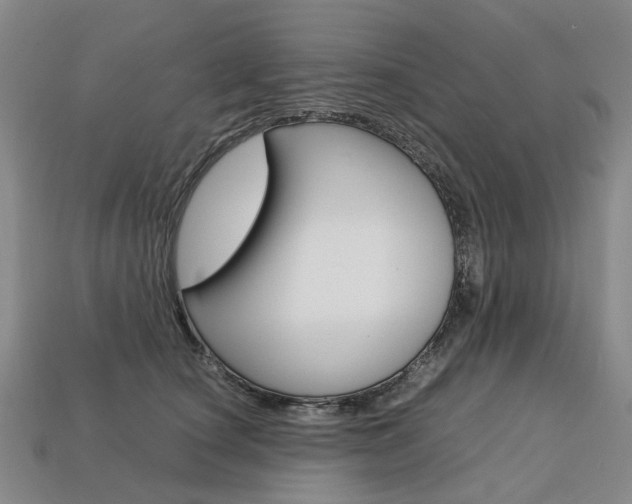 X0000113750660200909231007