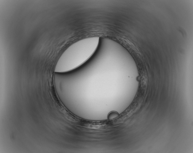 X0000113750661200909231007
