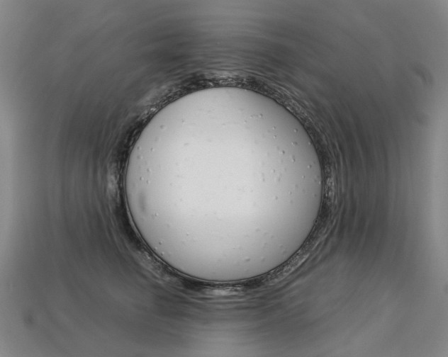X0000113750662200909231007