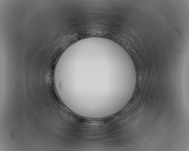 X0000113750663200909231007