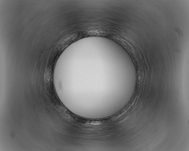 X0000113750665200909231007