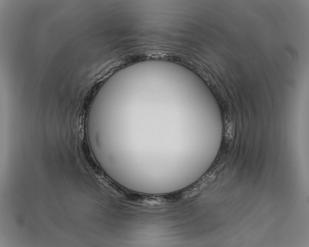X0000113750666200909231007