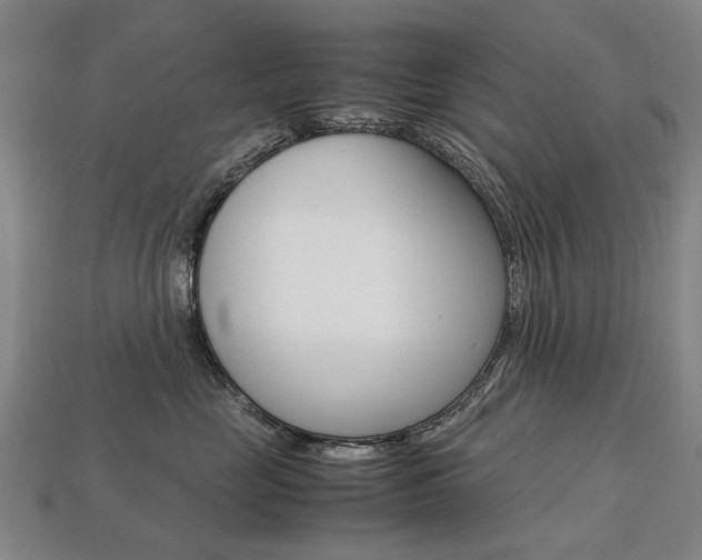 X0000113750669200909231007