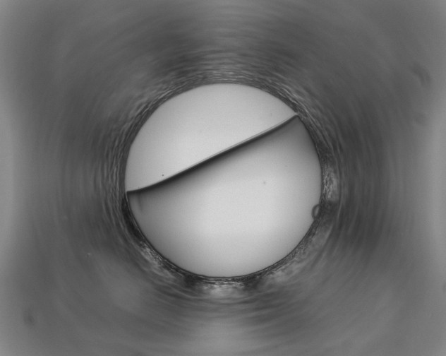 X0000113750670200909231007